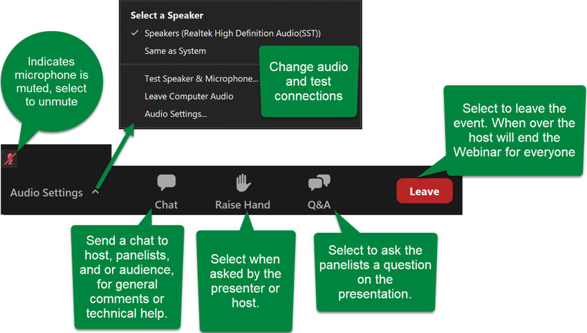 Zoom Webinar Platform Interface